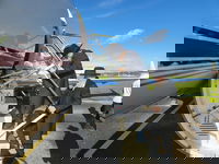 הגר"ד לנדו חוזר ארצה