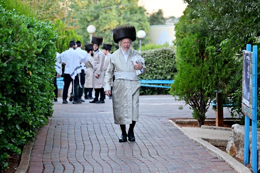שבת התאחדות קהילת המתמידים במירון