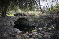 שמורת הטבע עין פית