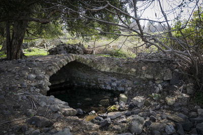 שמורת הטבע עין פית