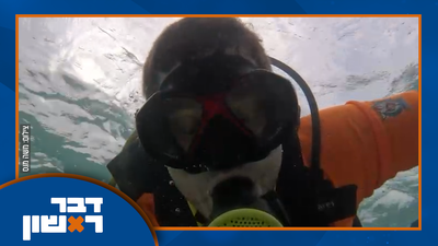 תיעוד החיפוש אחרי נייד הפצ"רית - מעיני הצוללן, יהיה אפשר לשחזר אותו? | צפו