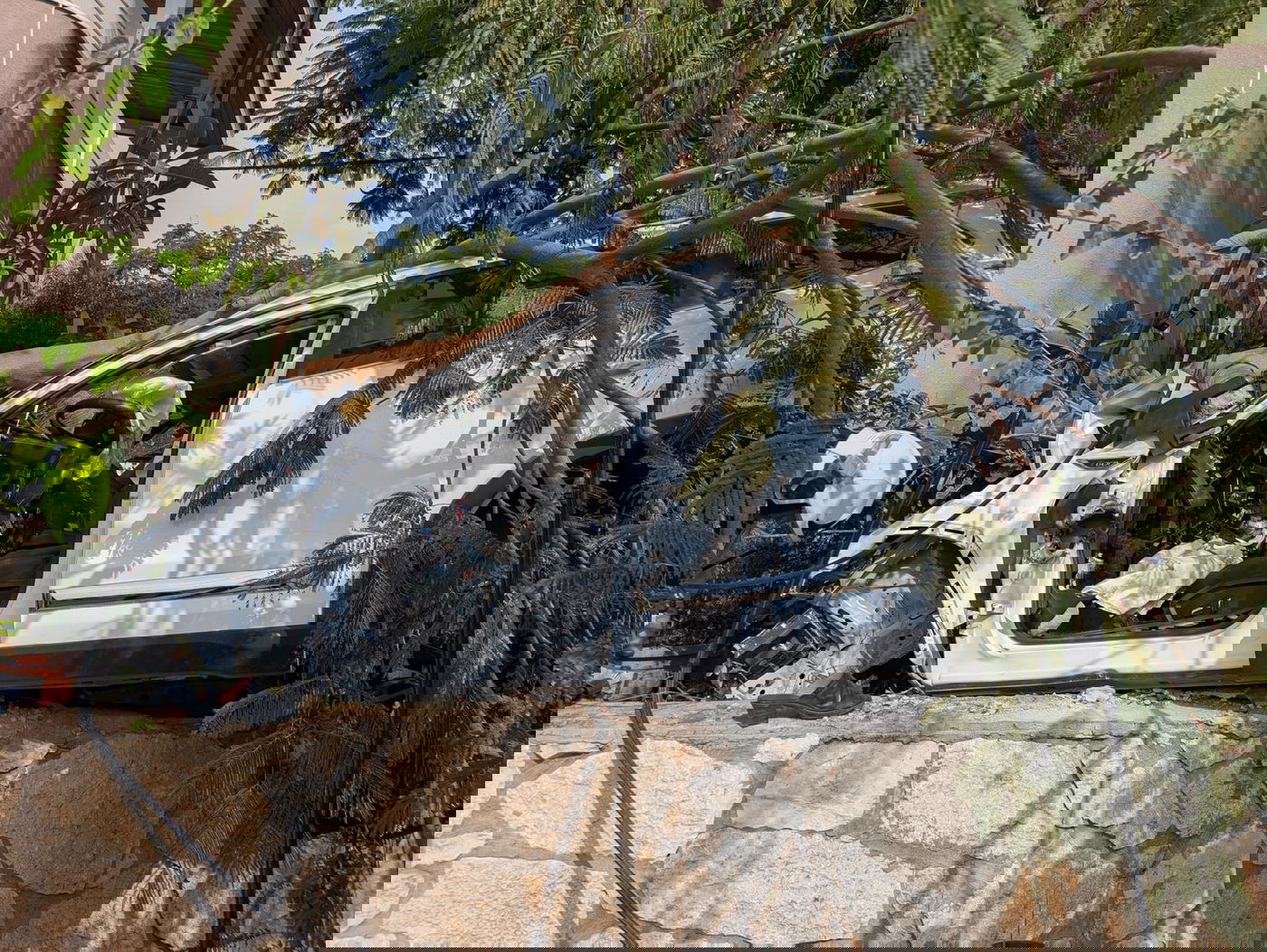 הרוגה בתאונה קטלנית וחריגה: הרכב התנגש בגדר ועץ חדר לתוכו