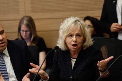 היועצת המשפטית לממשלה בדיון בכנסת 