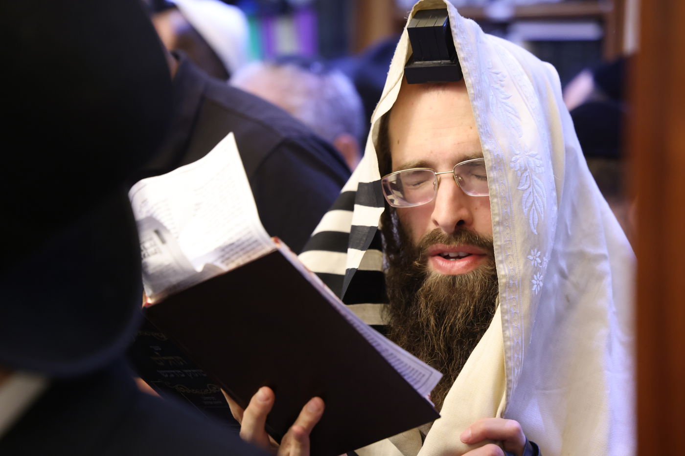 הילולת רחל אמנו - קבר רחל תשפ"ו