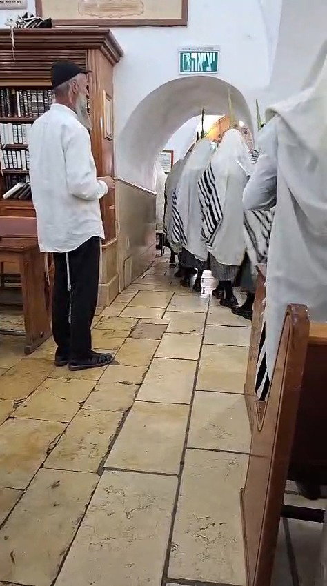 חסידי תולדות אברהם יצחק עם ארבעת המינים במירון