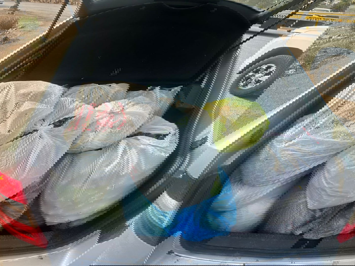 ניסיון הברחת הביצים