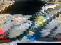 ניסיון הברחת הביצים