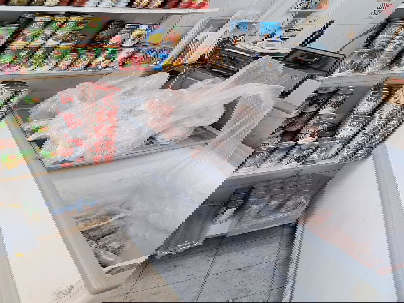 ניסיון הברחת הביצים