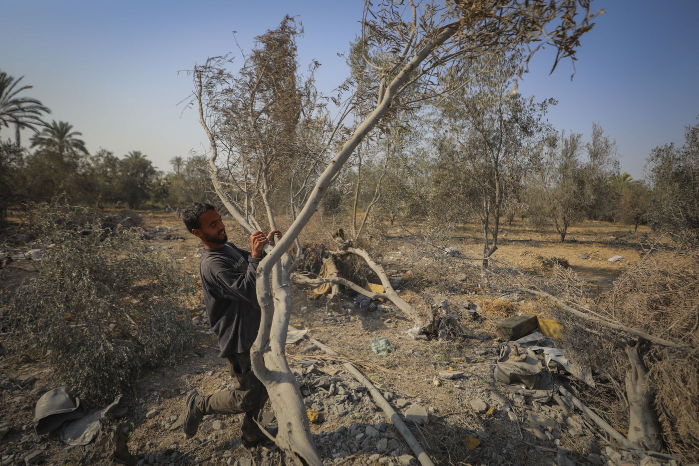 התחזית: ירידה ניכרת בטמפרטורות אך עדיין יהיה חם עד שרבי