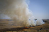 שריפה בשטח פתוח