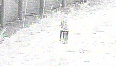 מחבלים משליכים בקבוקי תבערה לציר אזרחי מרכזי - ומחוסלים תוך שניות