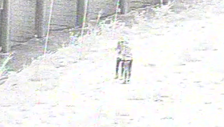 מחבלים משליכים בקבוקי תבערה לציר אזרחי מרכזי - ומחוסלים תוך שניות