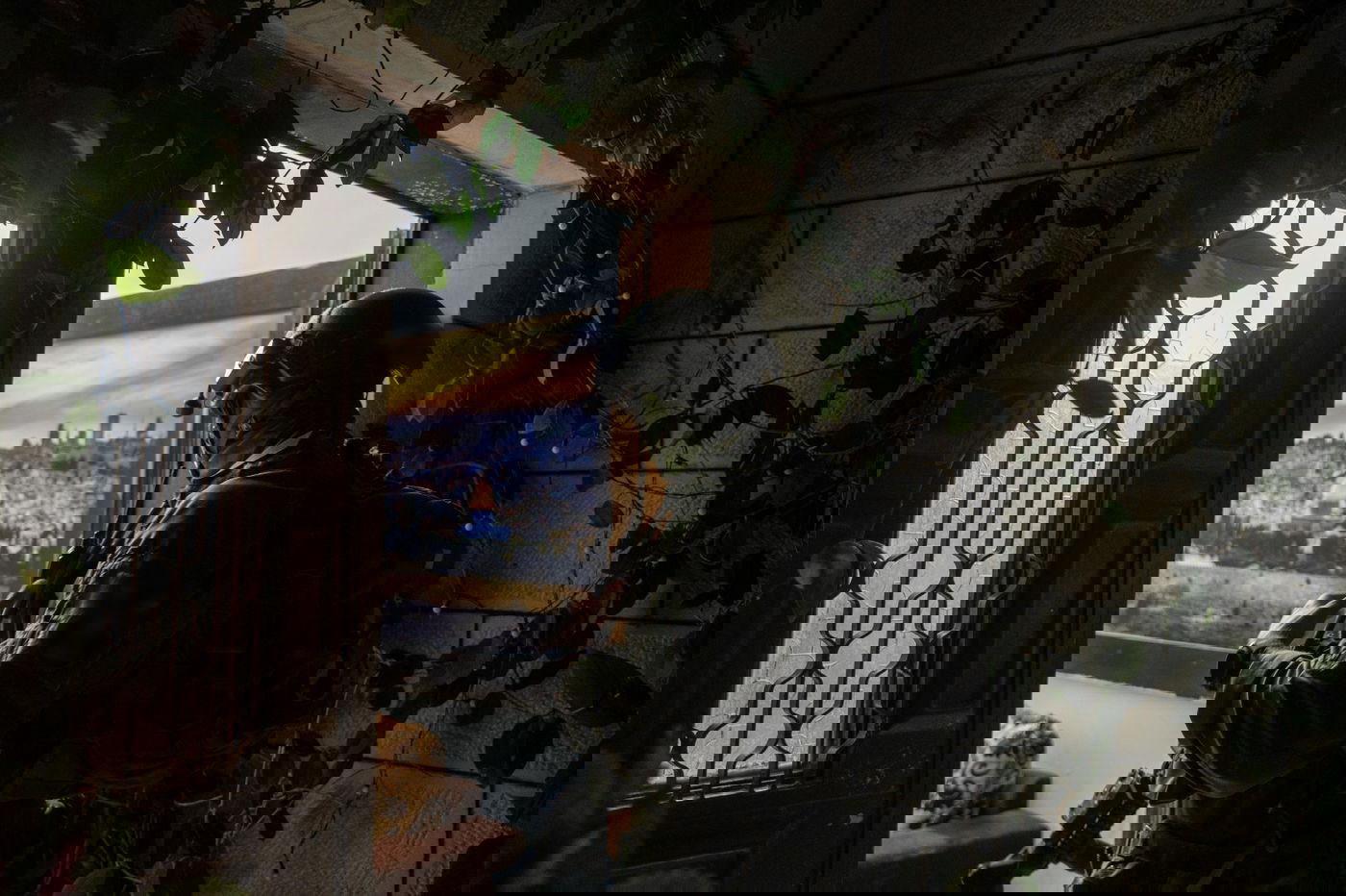 חיסול מחבלים והחרמת אמל"ח | צה"ל מסכם שבוע של פעילות ביו"ש