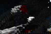 רום ברסלבסקי בכיכר