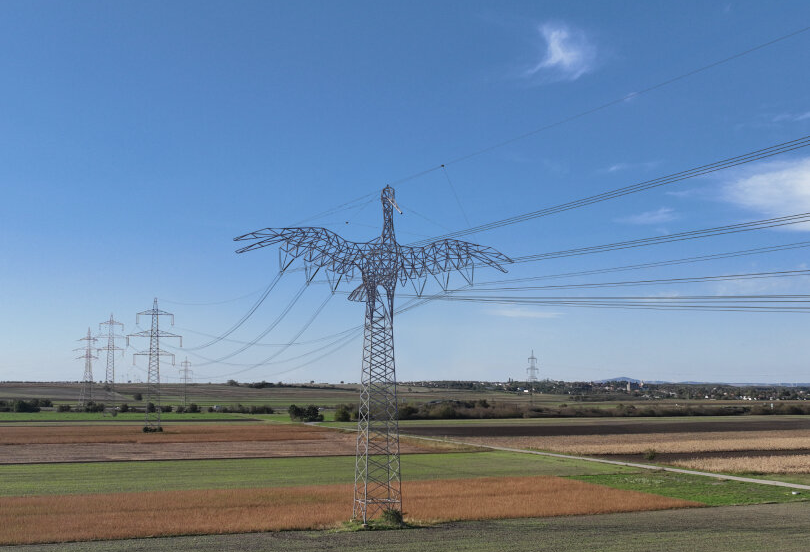 החסידה בבורגן־לנד