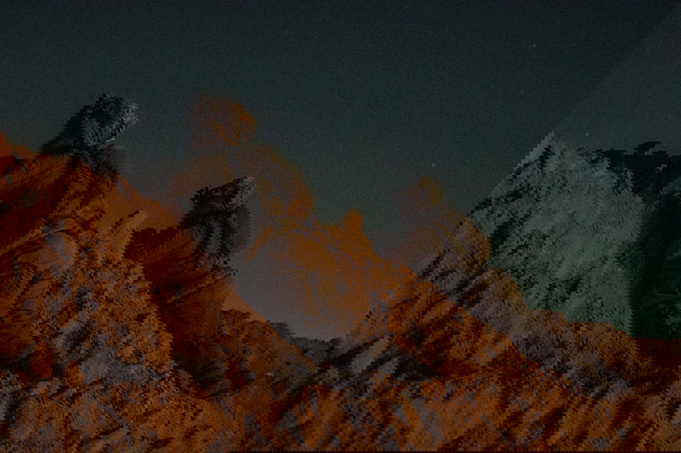 כוחות צה"ל בפעילות ברצועה