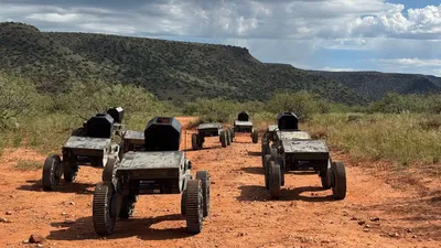 נחיל של נמלת האש