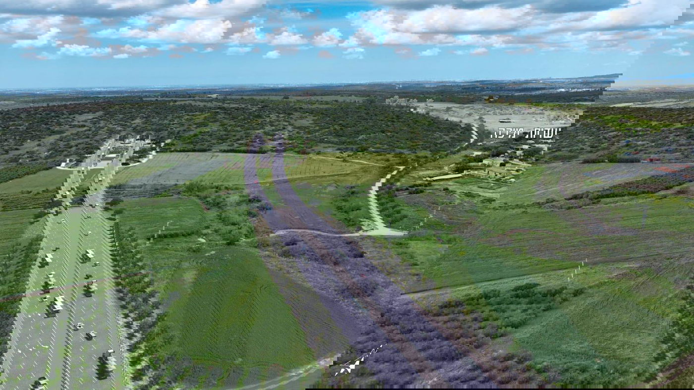 תכנון הכביש החדש