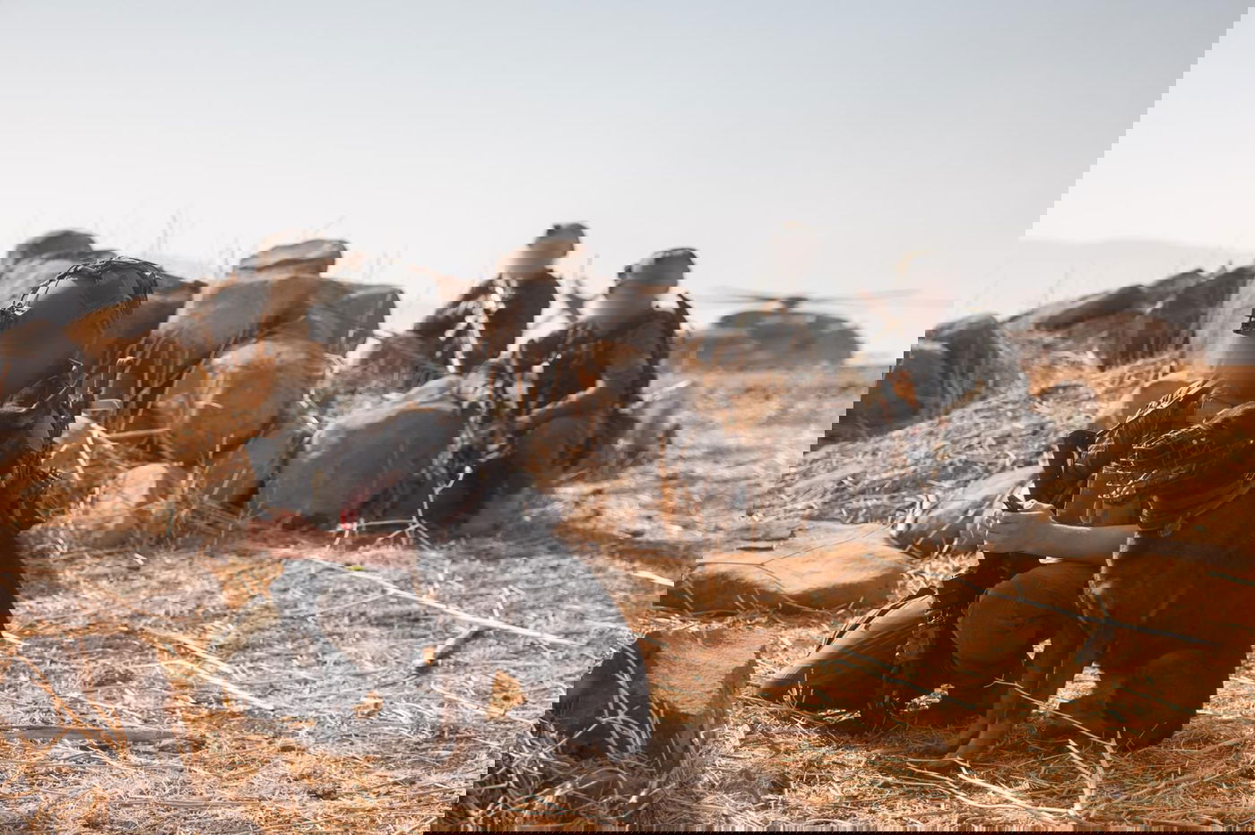 פעילות חיל האוויר בתרגיל הדו-אוגדתי בפיקוד המרכז