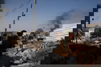 לוחמי צה"ל ביהודה ושומרון