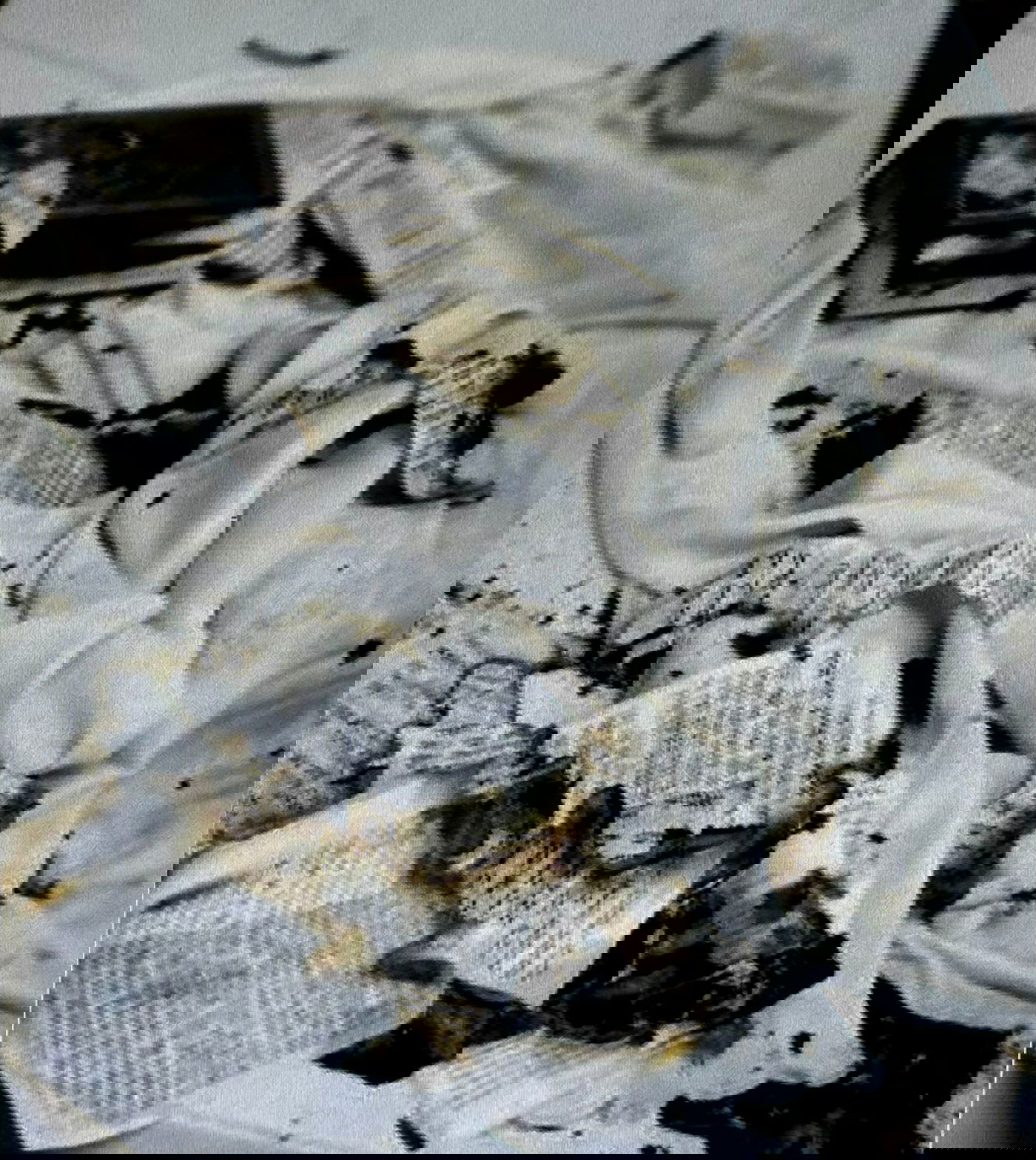 מזעזע: תושב בית שמש שרף בית כנסת בירושלים; ספרי קודש עלו באש