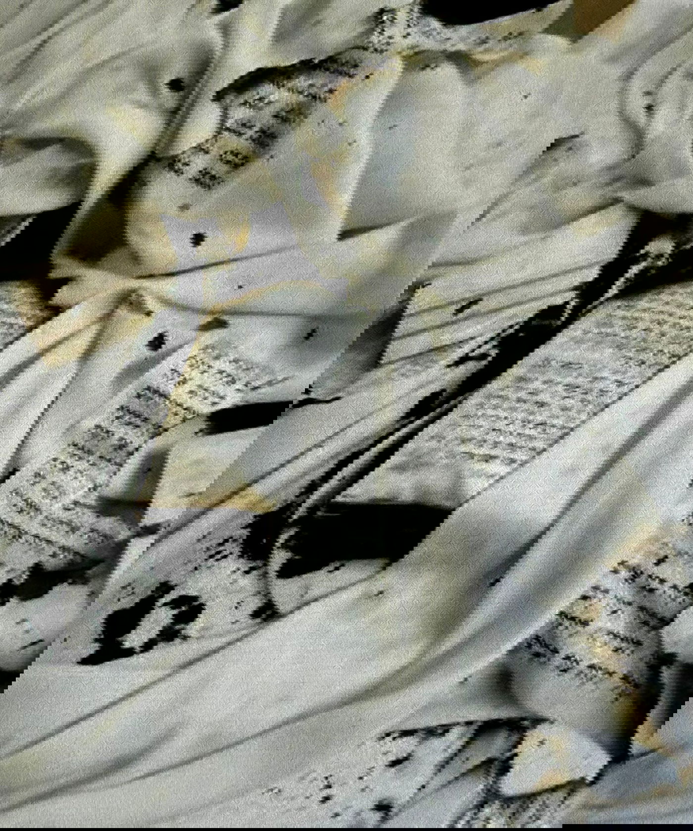 מזעזע: תושב בית שמש שרף בית כנסת בירושלים; ספרי קודש עלו באש