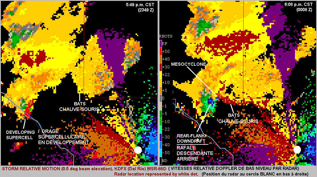 איור ממכ"ם דופלר של טקסס המראה מפגש של להקת עטלפים עם סופת רעמים, ואת החיות נעות לתוך הסערה. הצבע האדום מתאר את החיות הלכודות