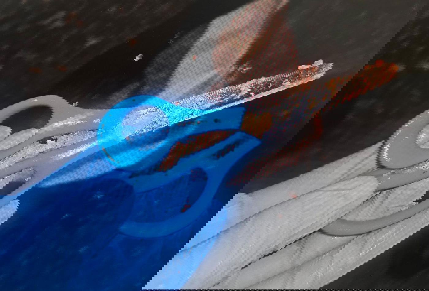 הסכין שנתפסה על ידי השוטרים באמצעותה דקר החשוד את הקורבן