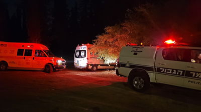 הזירה ביער בן שמן