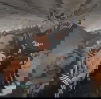 הנוסעים בטיסה המסתורית