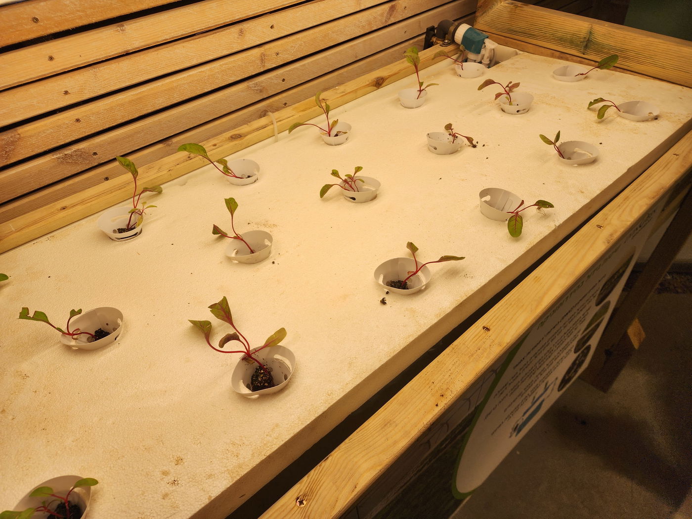 ביקור במעבדה לחקלאות העתיד