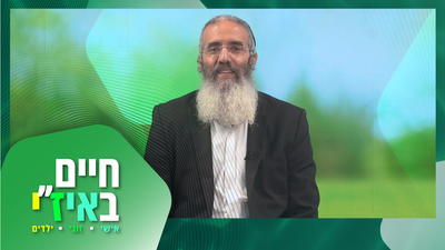 איזי בפרשה - פרשת תולדות