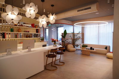 העור שלך הוא הסיפור שלך

