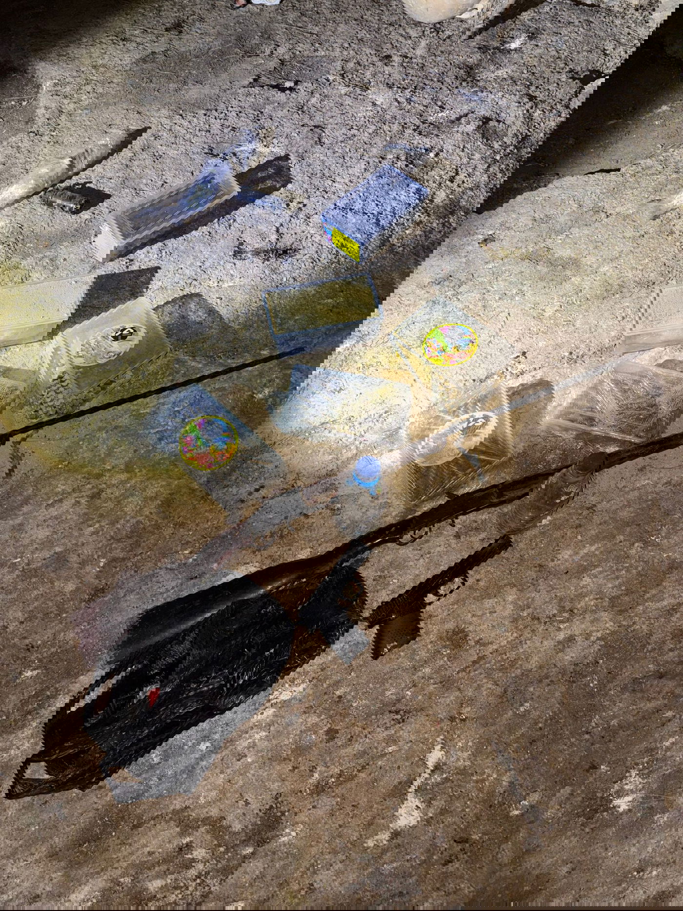 יותר מ-60 מבוקשים נעצרו ובהם 18 פעילי חמאס; פעילות צה"ל למיגור הטרור ביו"ש