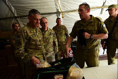 לוחמים אמריקאים בישראל