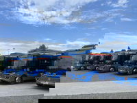 נוסעים לליטא? קבוצת אגד מתרחבת למדינה נוספת באירופה