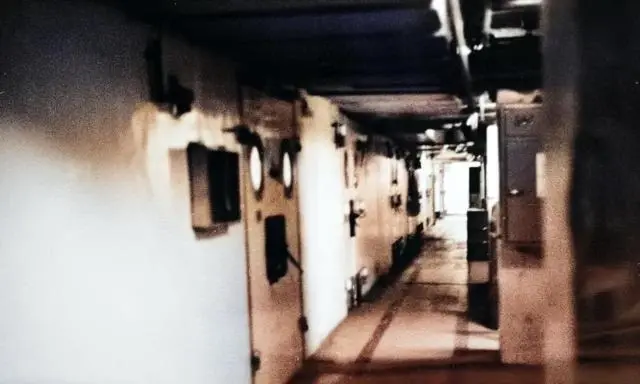 הכור האטומי כפי שצילם ואנונו 