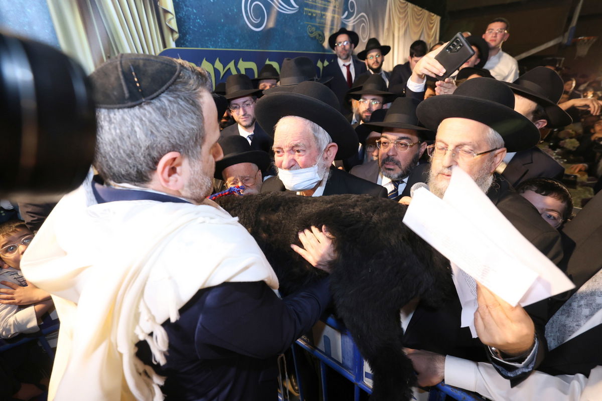 פדיון פטר חמור בבית וגן