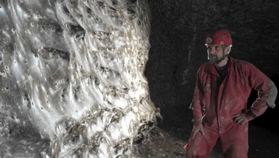 תיעוד של הרשת העכבישים הגדולה בעולם 