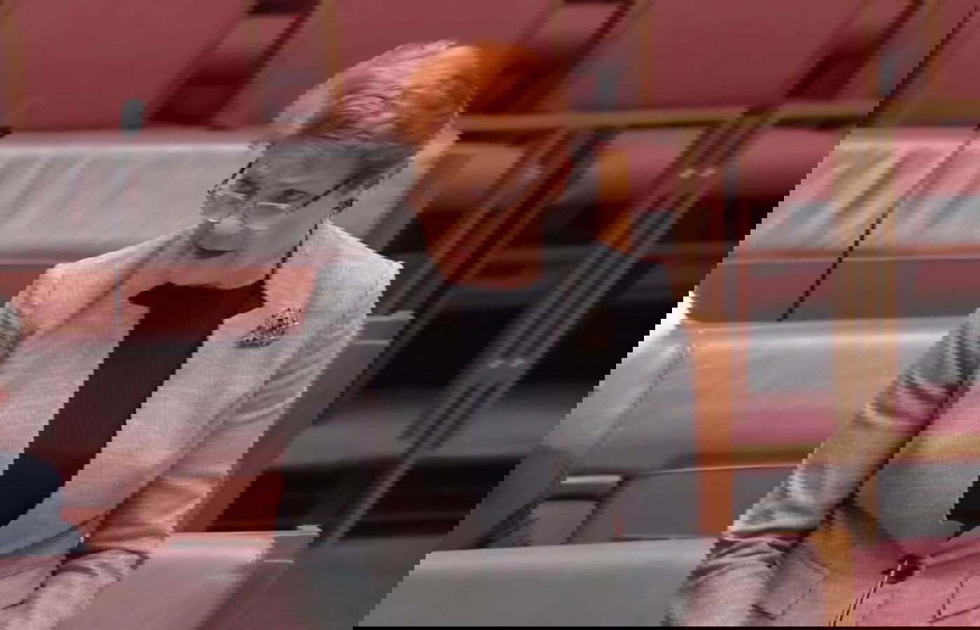 חברת הפרלמנט פולין הנסון