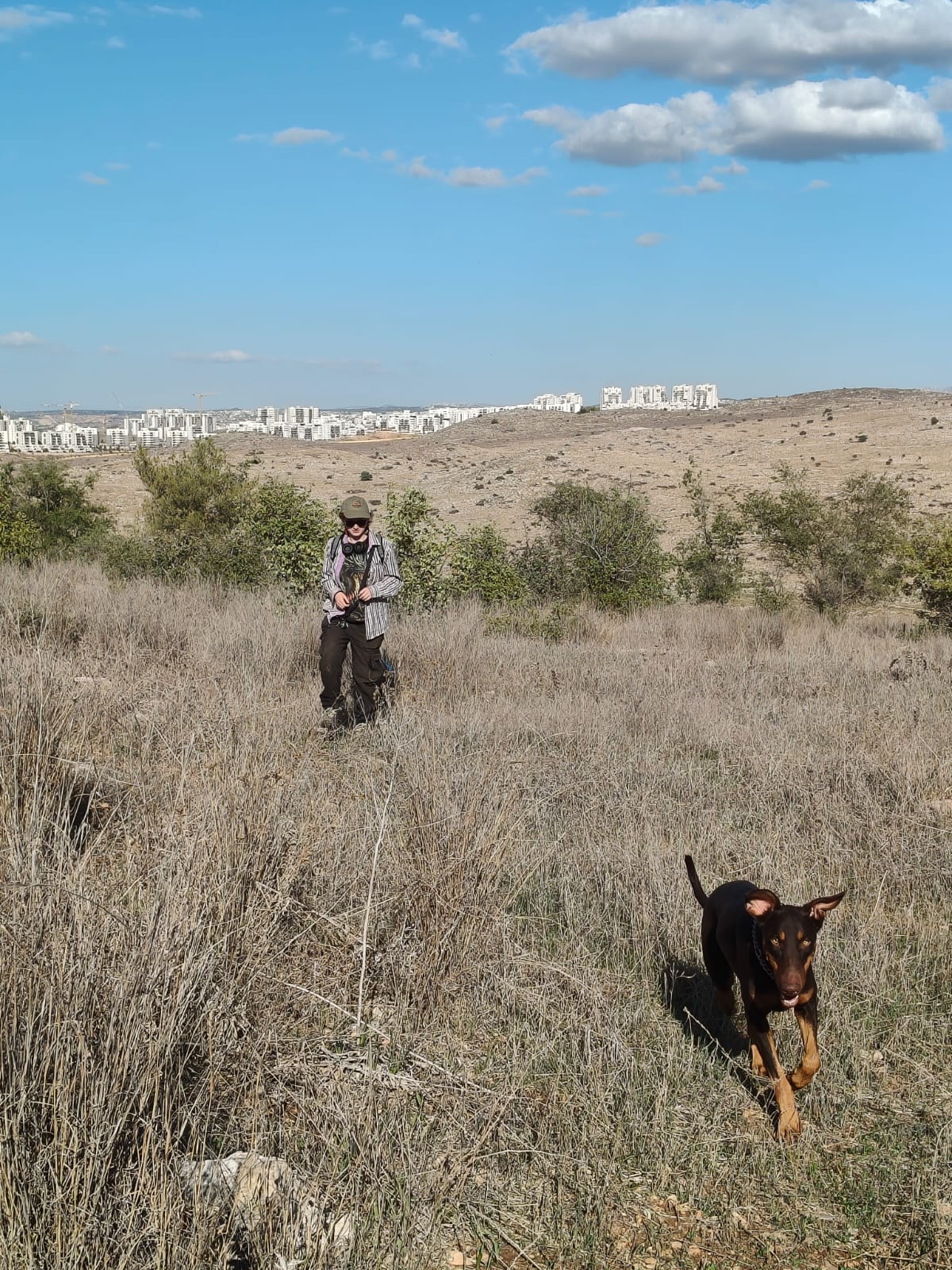 החיפושים אחרי מרדכי
