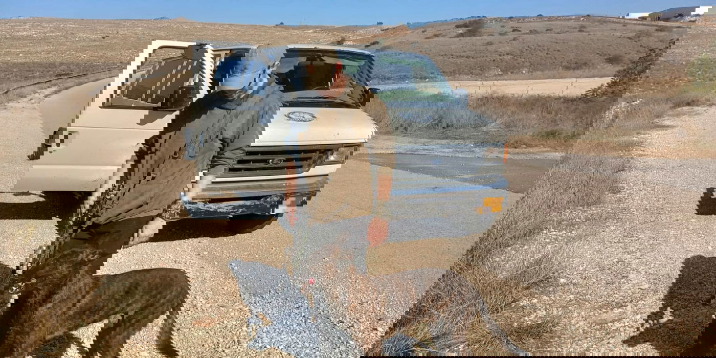 החיפושים אחרי מרדכי