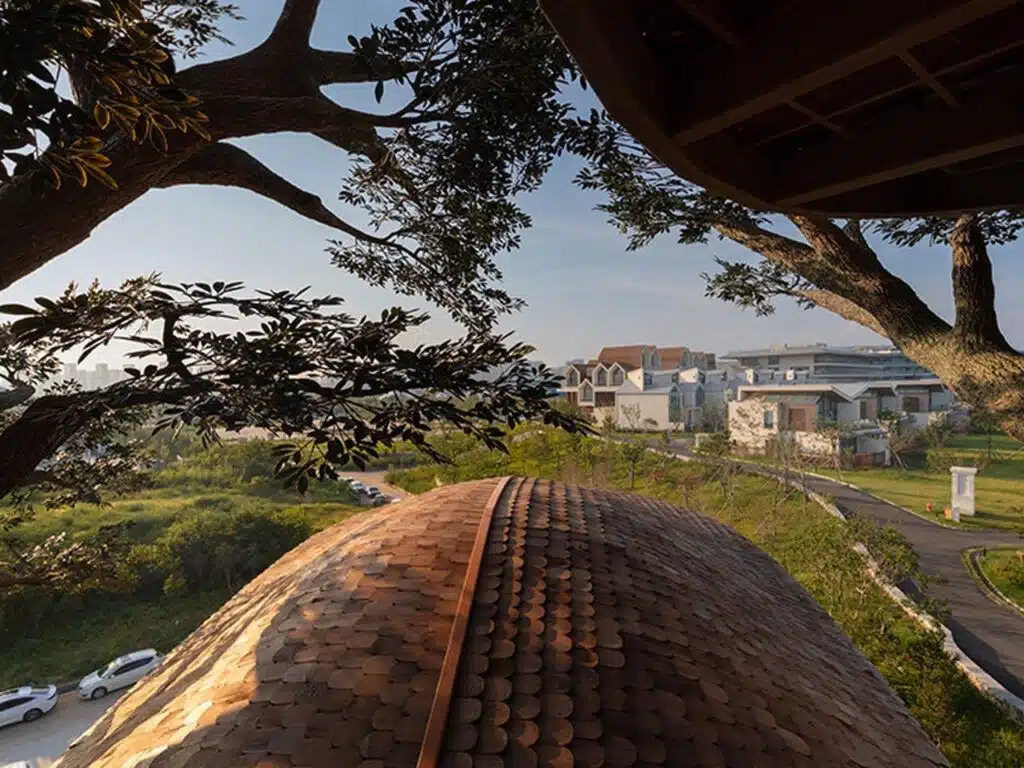 נוף מרהיב מבין הענפפים