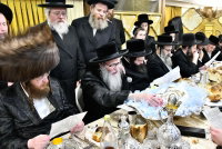 ארכיון: האדמו"ר מספינקא כהנא בפדיון הבן