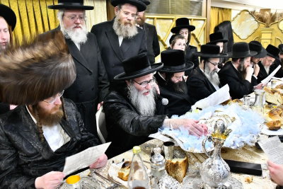 ארכיון: האדמו"ר מספינקא כהנא בפדיון הבן