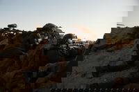 פעילות אוגדה 252 בצפון רצועת עזה