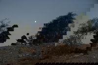 פעילות אוגדה 252 בצפון רצועת עזה