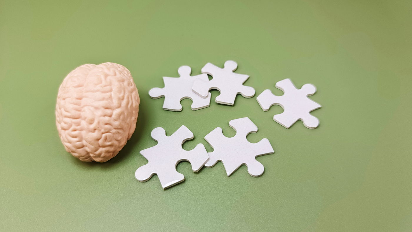 חמישה שלבים בהתפתחות המוח