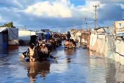 תיעוד יוצא דופן מעזה: חמורים מסייעים בתעבורת תושבים תחת הצפות קיצוניות