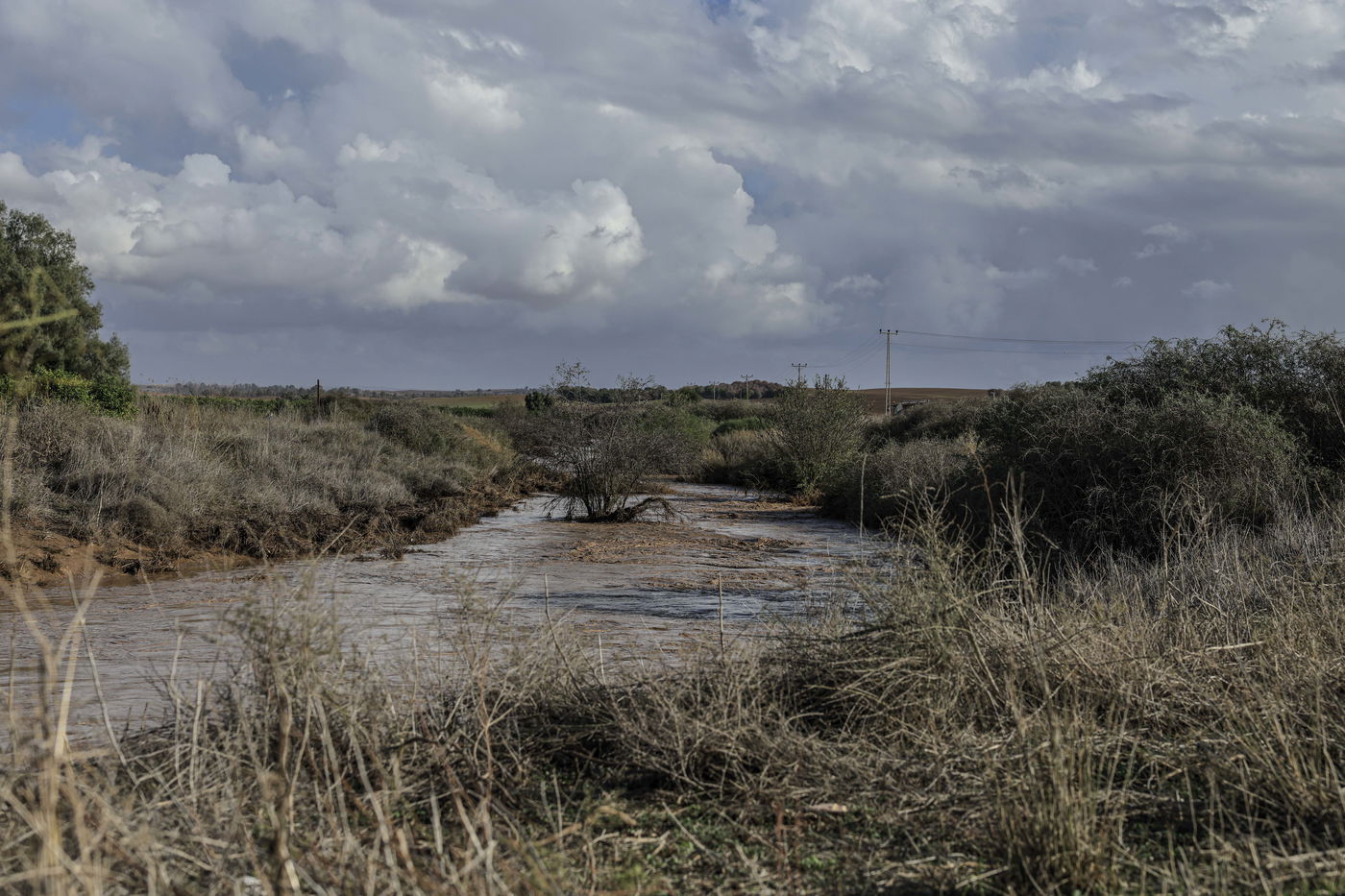 נחל שקמה, אתמול